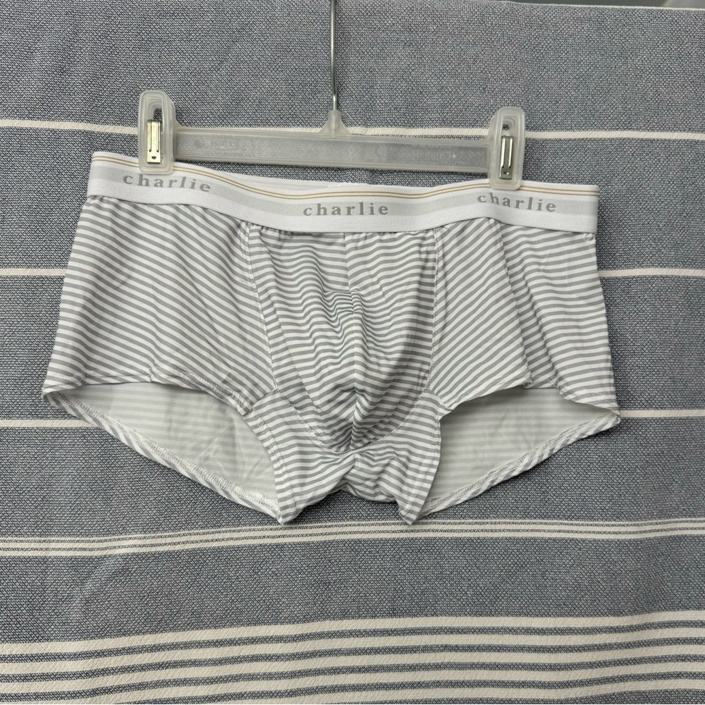 Charlie by Matthew Zink. Classic Trunk. Grey Stripe. Microfiber. Size M.